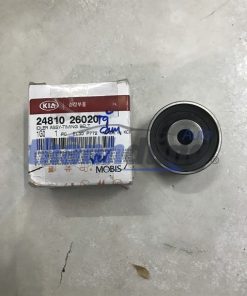 BI TỲ CAM HYUNDAI GETZ, ACCENT, VERNA