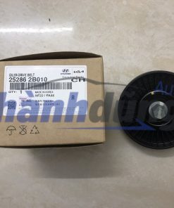 bi tỳ tổng kia cerato