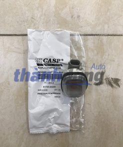 xi nhan tai xe lexus rx300